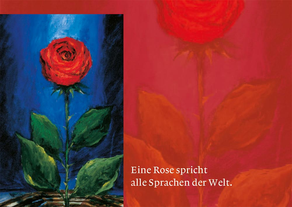 Produktabbildung: Rose